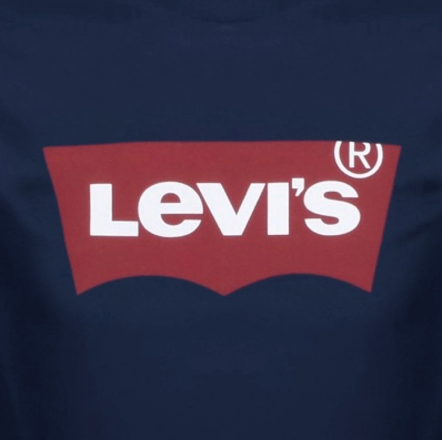 Alternative Image for ProductLevis Logo T Shirt Blue3